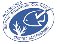 Acclimatized certification - Marine Aquarium Council